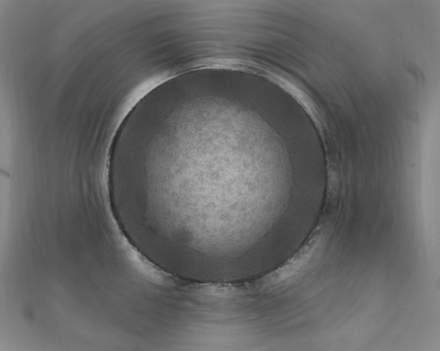 X0000112101050200908041507
