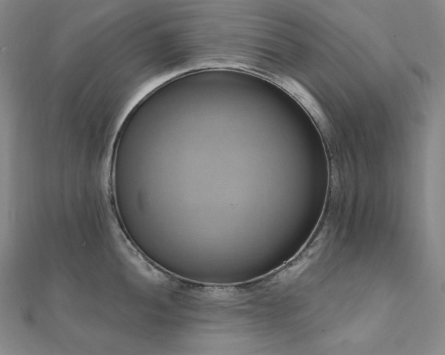 X0000112101052200908041507