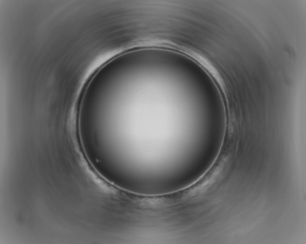 X0000112101053200908041507
