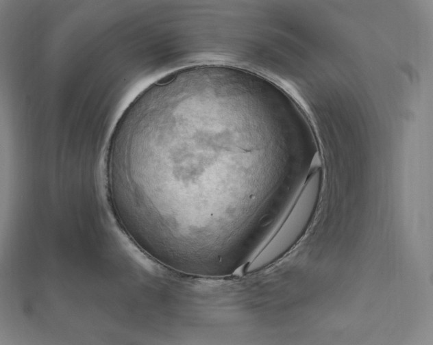 X0000112101056200908041507