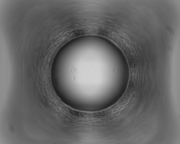 X0000112101057200908041506