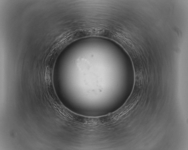 X0000112101058200908041506