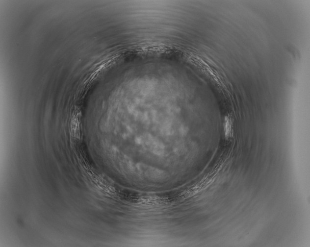 X0000112101059200908041506