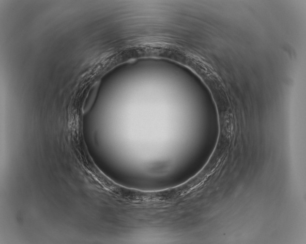 X0000112101061200908041506