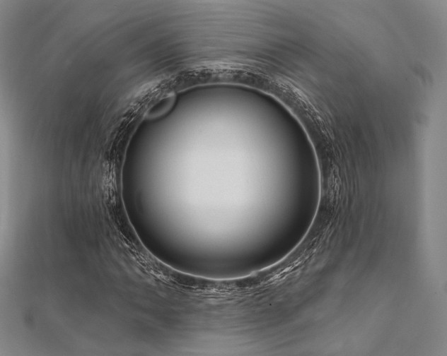 X0000112101062200908041506
