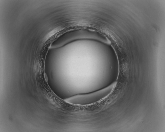 X0000112101064200908041506