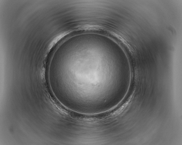 X0000112101066200908041506