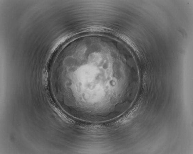 X0000112101067200908041506