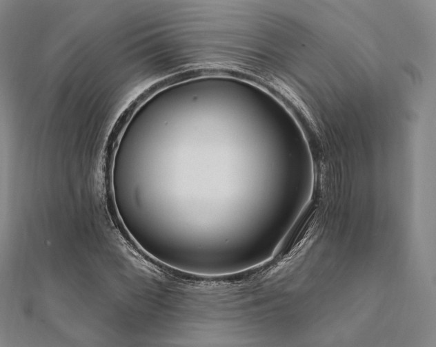 X0000112101068200908041506