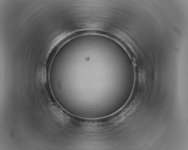 X0000112101069200908041506