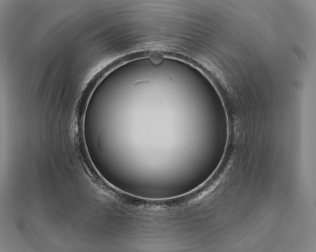 X0000112101070200908041506