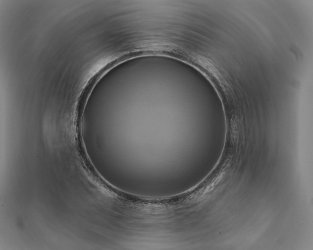 X0000112101071200908041506