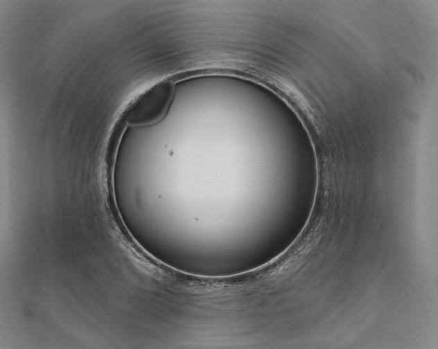 X0000112101072200908041506