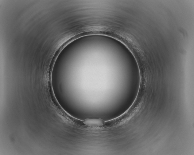 X0000112101073200908041506