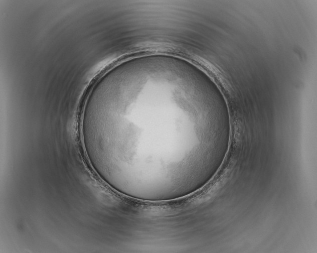 X0000112101074200908041506