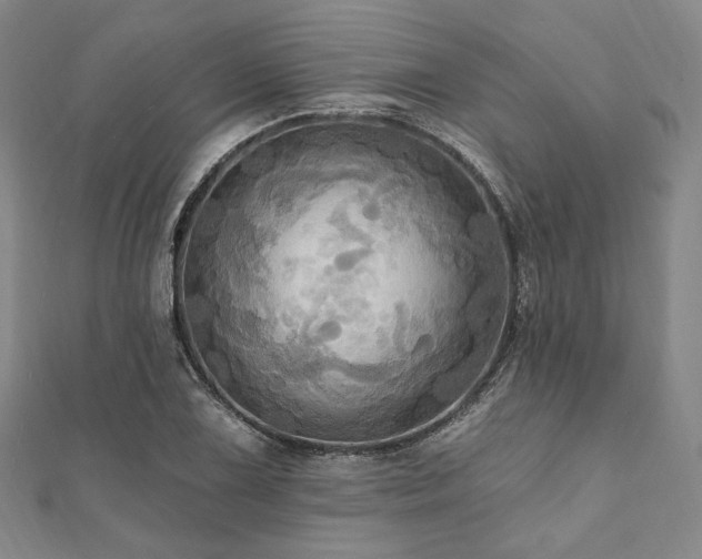X0000112101075200908041506