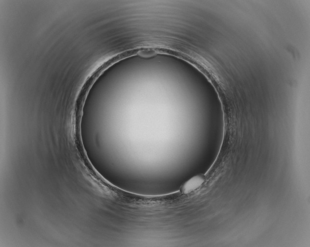 X0000112101076200908041506