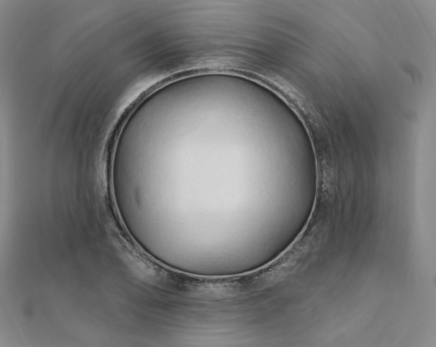 X0000112101078200908041506