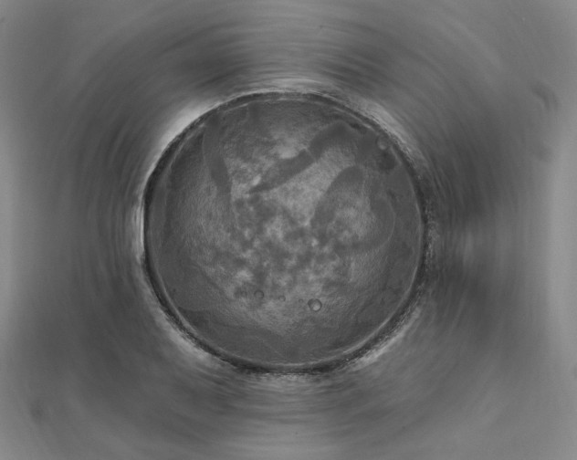 X0000112101079200908041506