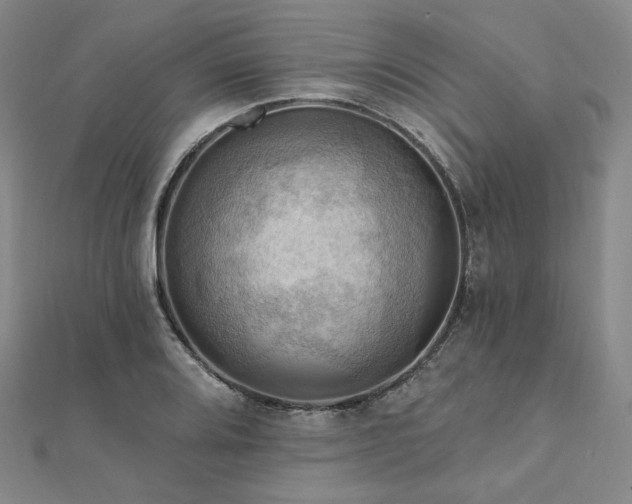 X0000112101080200908041506