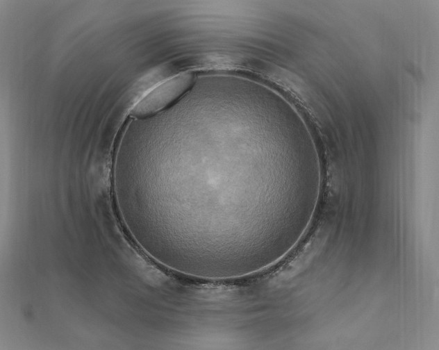X0000112101081200908041506