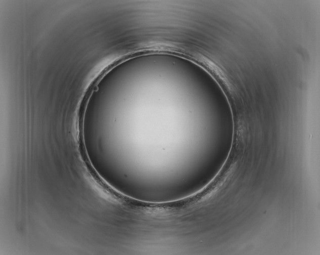 X0000112101082200908041506