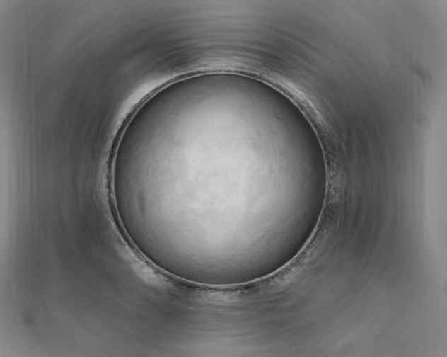X0000112101086200908041506