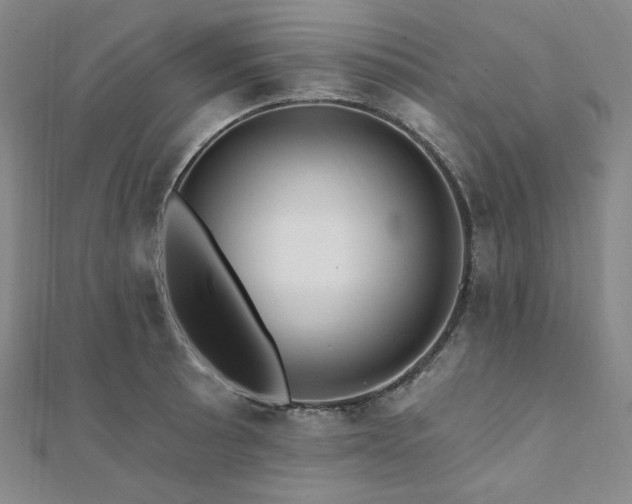 X0000112101089200908041506