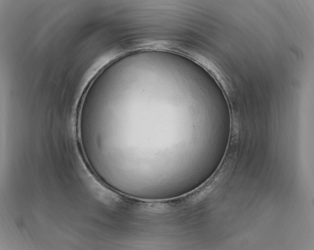 X0000112101090200908041506