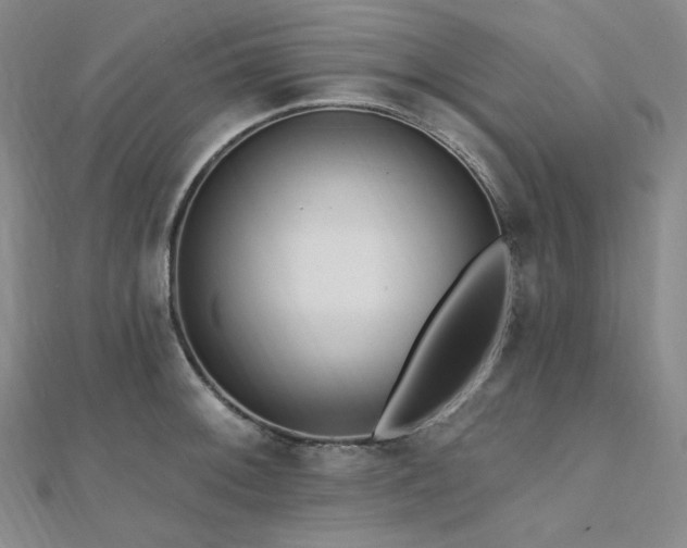 X0000112101092200908041506