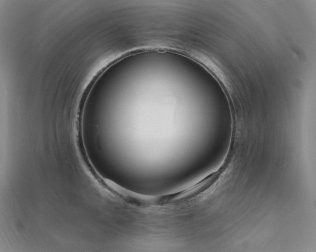 X0000112101093200908041506