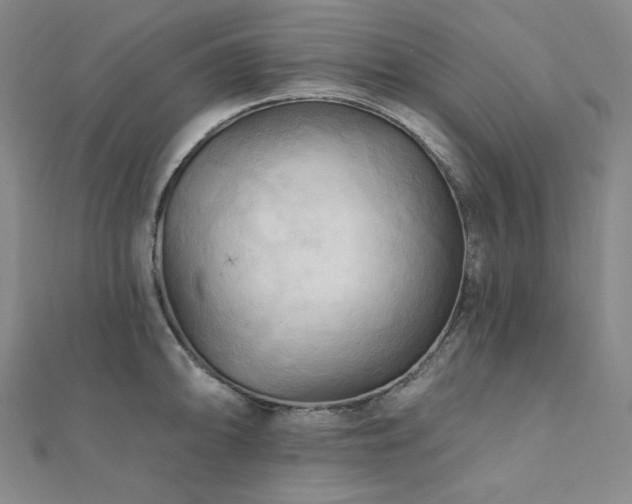 X0000112101094200908041506