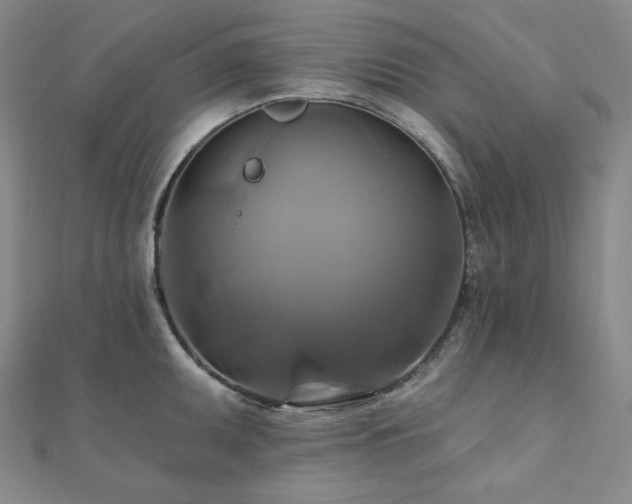 X0000112101095200908041506