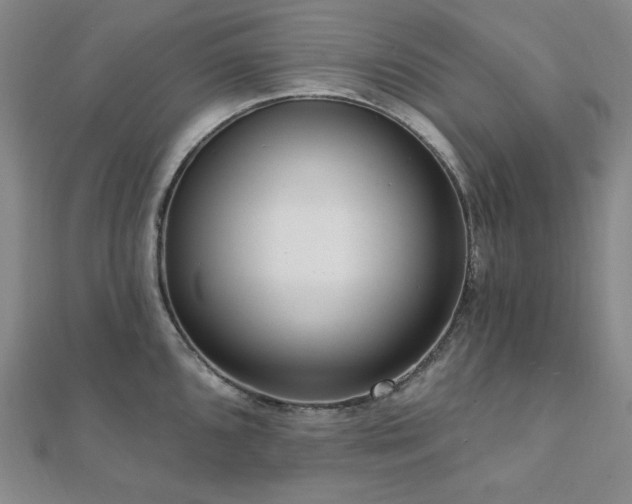 X0000112101096200908041506