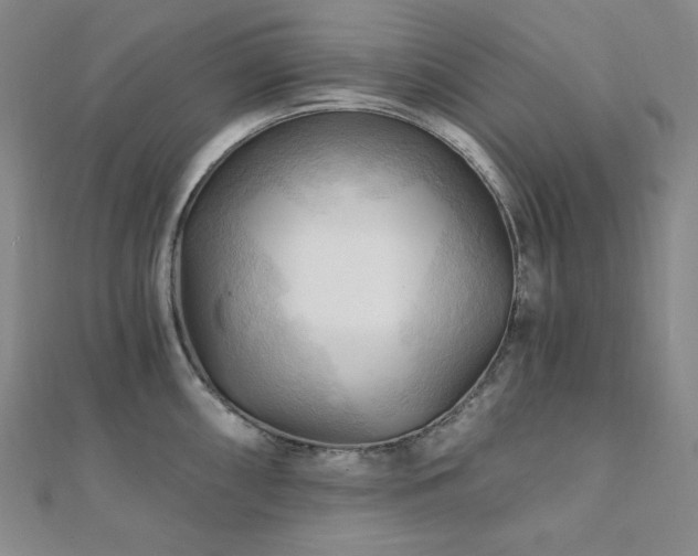 X0000112101098200908041506