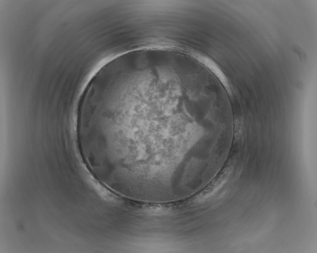 X0000112101099200908041506