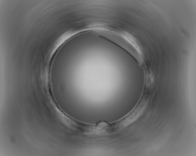 X0000112101101200908041506