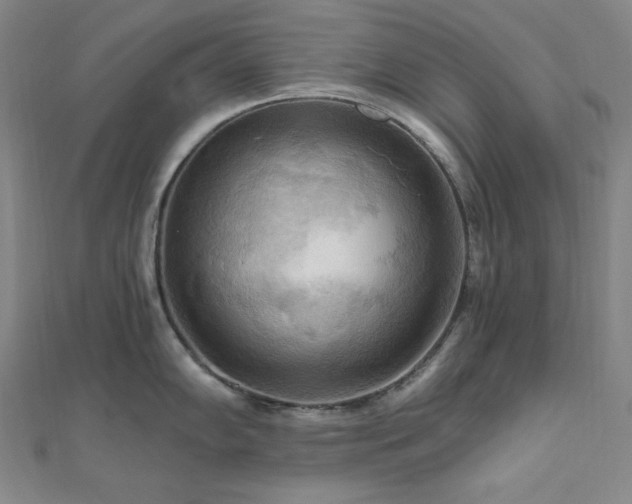 X0000112101102200908041506