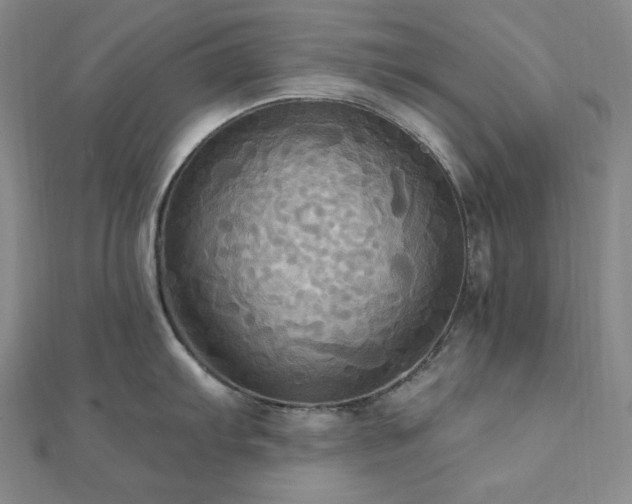 X0000112101103200908041506