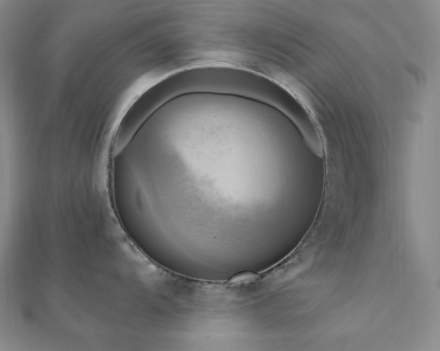 X0000112101104200908041506