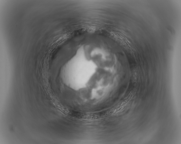 X0000112101105200908041505