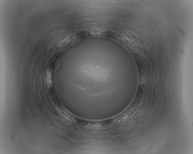 X0000112101106200908041505