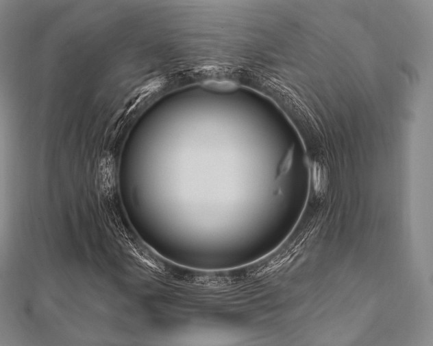 X0000112101107200908041505