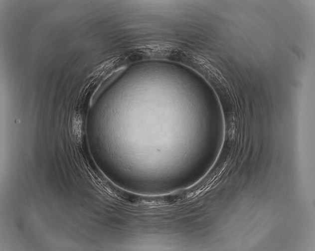 X0000112101108200908041505