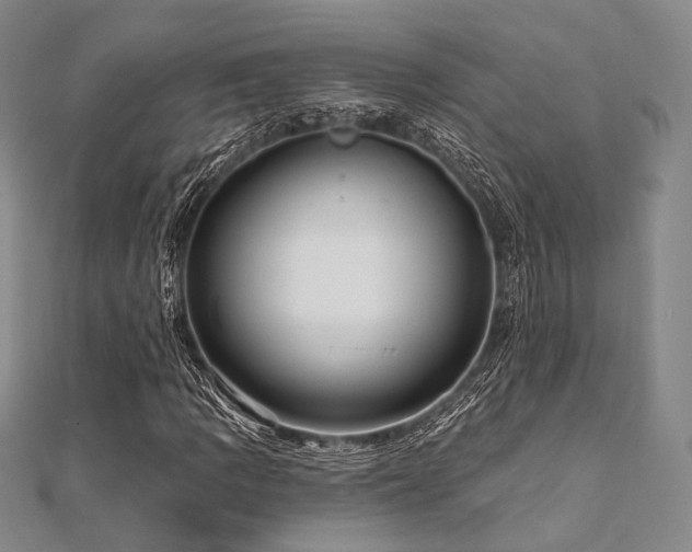 X0000112101109200908041505