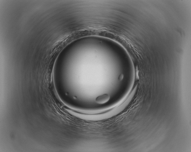 X0000112101110200908041505