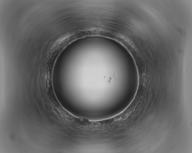 X0000112101111200908041505