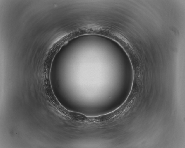 X0000112101112200908041505