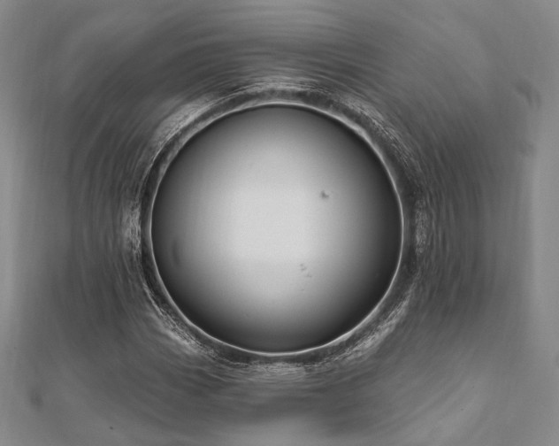 X0000112101113200908041505