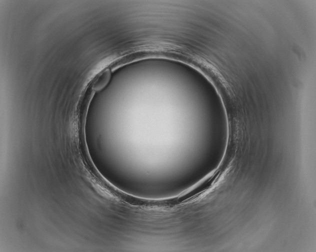 X0000112101114200908041505